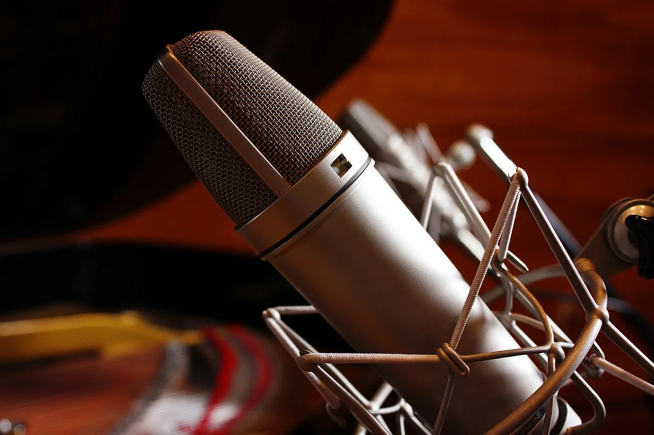 A Neumann U87 microphone at In Your Ear Studios in Richmond, Virginia. Contextual photograph.